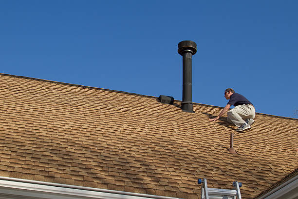 Best Solar Panel Roofing Installation  in Sebewaing, MI